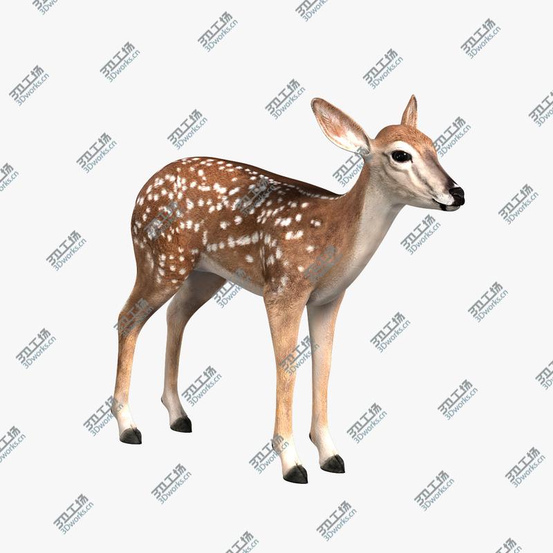 images/goods_img/2021040163/Fawn (ANIMATED)/3.jpg